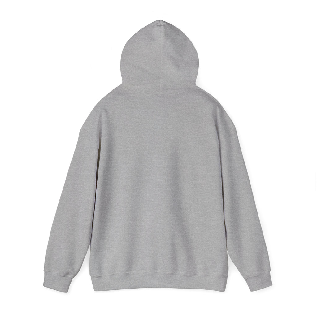 EZER Hoodie vol 2. Visual