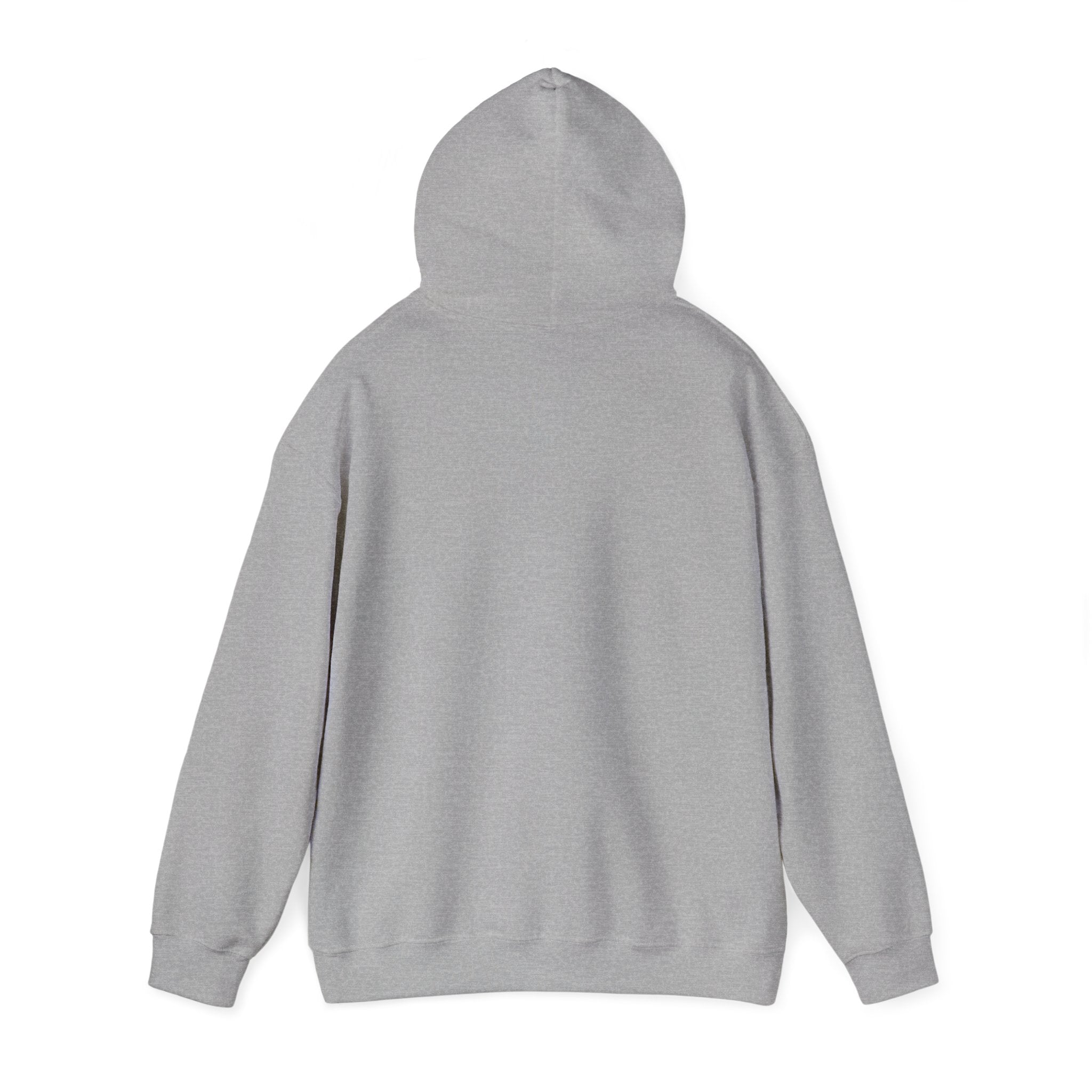 EZER Hoodie vol 2. Visual