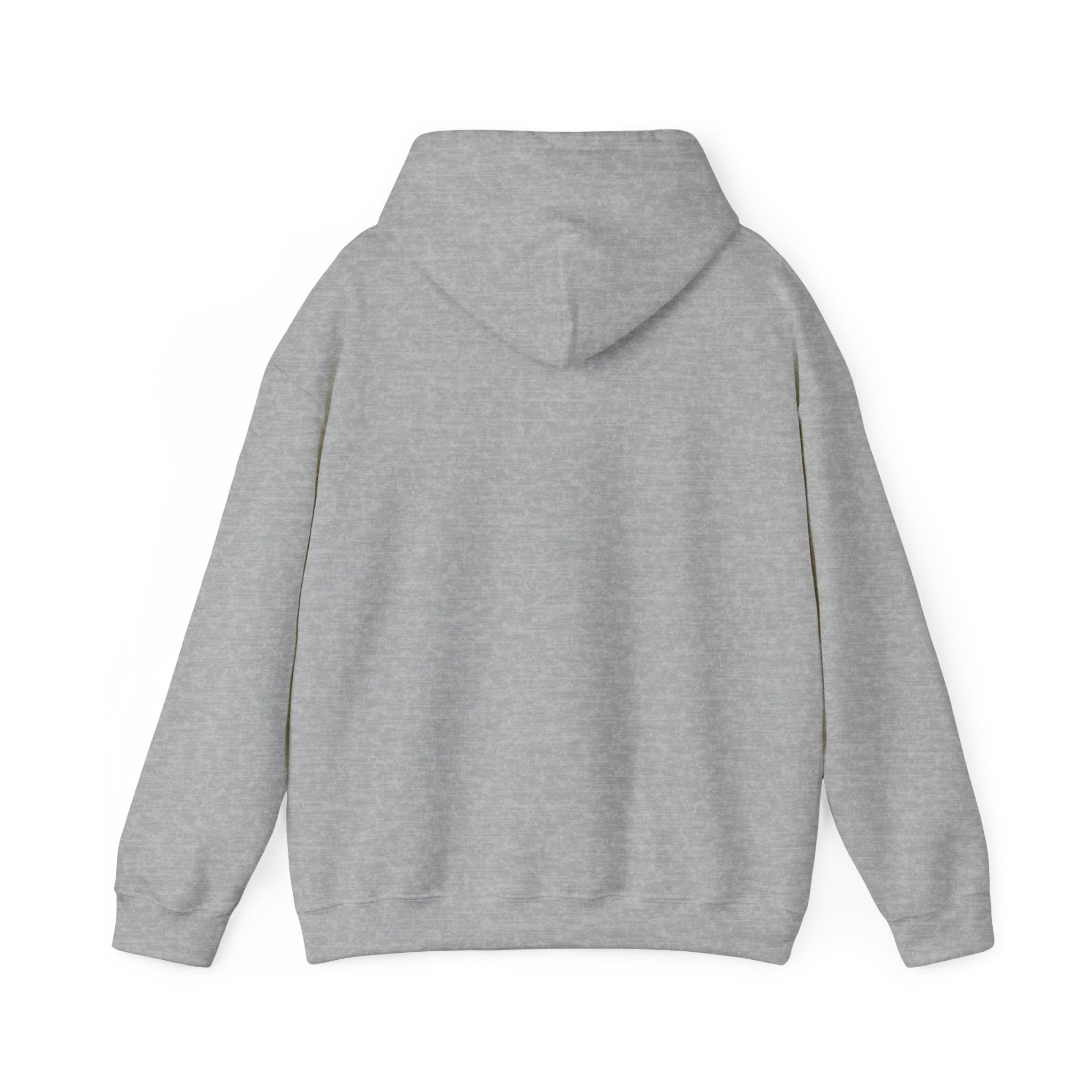 EZER Hoodie vol 2. Visual